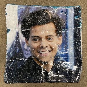 Harry Styles Sequined Peek-A-Boo Throw Pillow Case Cover Velveteen Back 15x15in